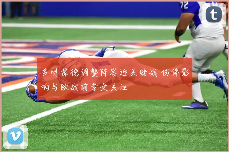 多特蒙德调整阵容迎关键战 伤停影响与欧战前景受关注