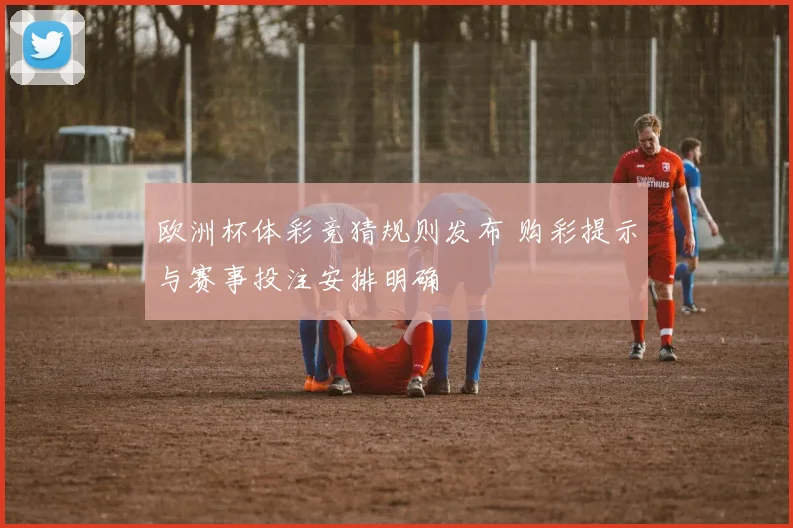 欧洲杯体彩竞猜规则发布 购彩提示与赛事投注安排明确