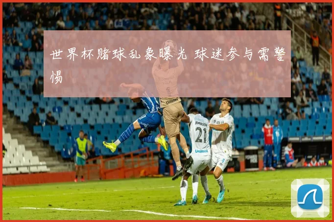 世界杯赌球乱象曝光 球迷参与需警惕