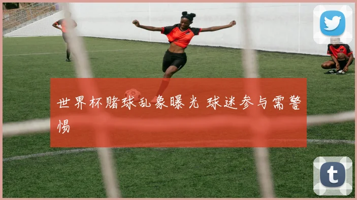 世界杯赌球乱象曝光 球迷参与需警惕