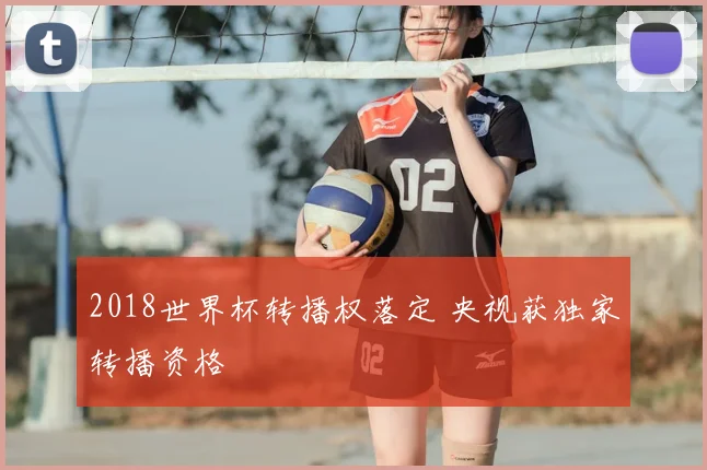 2018世界杯转播权落定 央视获独家转播资格